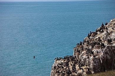 任天堂新一期直面会 多款独立游戏公布